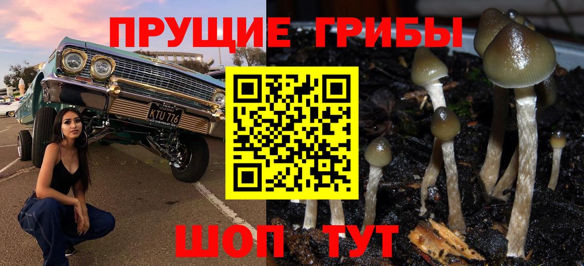 Галлюциногенные грибы ЛСД Бузулук