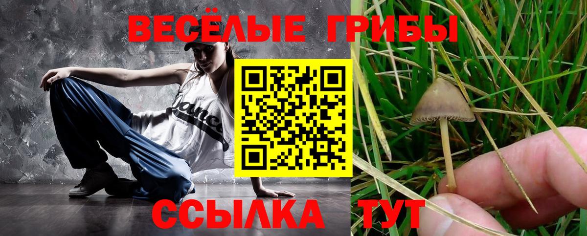 Галлюциногенные грибы GOLDEN TEACHER  наркошоп  Бузулук  Вход с VPN 
